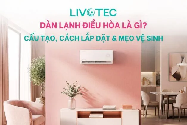 dan-lanh-dieu-hoa-la-gi