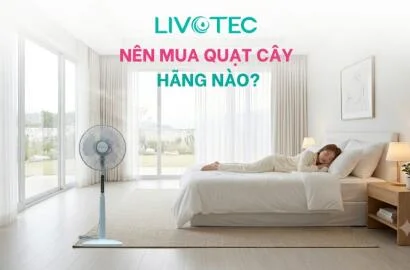 Nên mua quạt cây hãng nào?