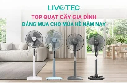 Quạt cây gia đình