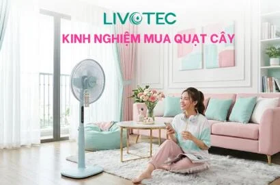 Kinh nghiệm mua quạt cây