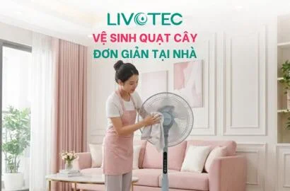 Vệ sinh quạt cây đơn giản tại nhà
