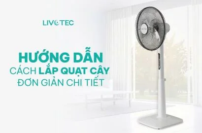 cach-lap-quat-cay