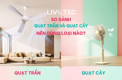 so-sanh-quat-tran-va-quat-cay-new