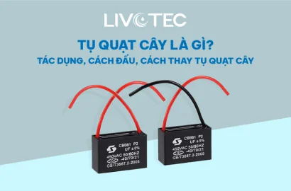 tu-quat-cay-la-gi