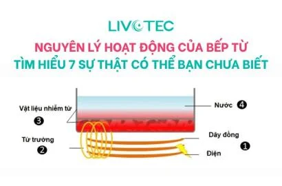 nguyen-ly-hoat-dong-cua-bep-tu-thumnails