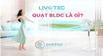 quat-bldc-la-gi-thumb