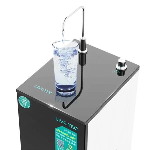 may-loc-nuoc-ro-livotec-808-4