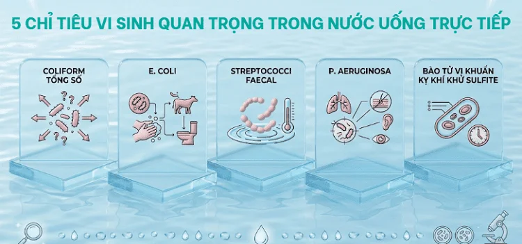 5 chỉ tiêu vi sinh trong chuẩn quốc gia QCVN 6-1:2010/BYT
