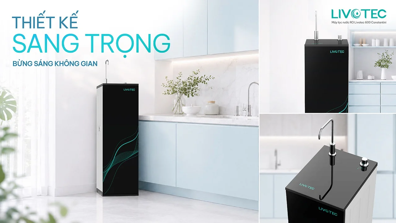 Livotec 600 Constantini trong không gian hiện đại