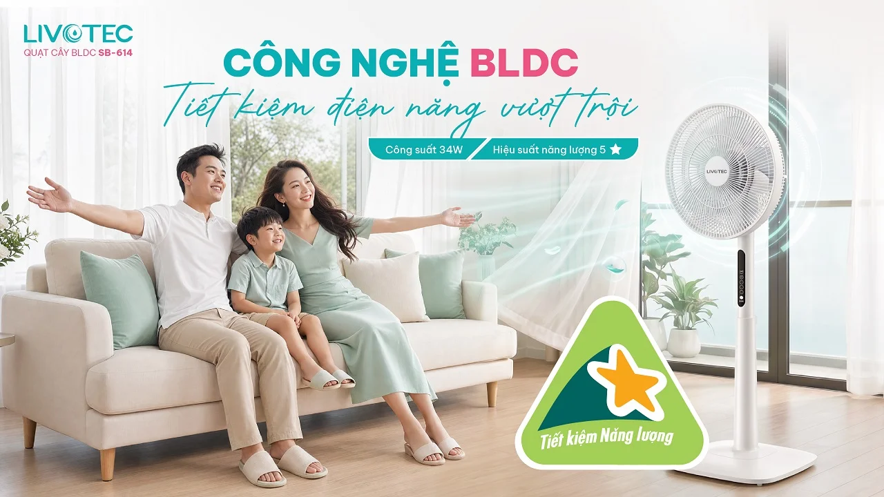 Quạt cây BLDC Livotec SB-614 hỗ trợ tiết kiệm điện
