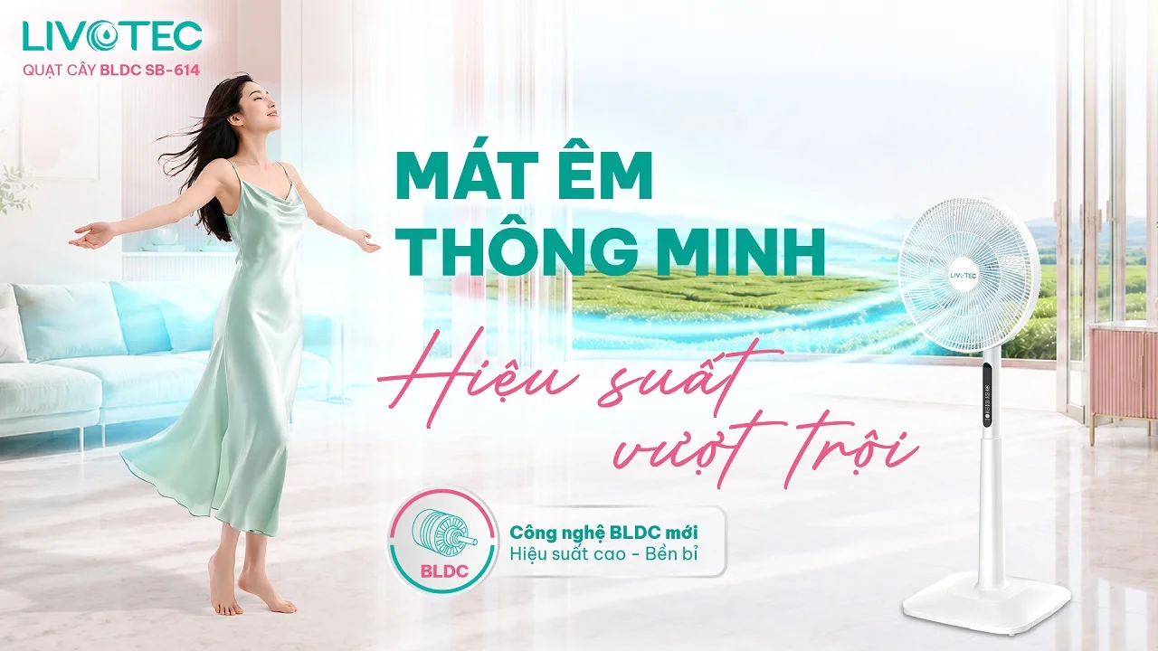 Quạt cây BLDC Livotec SB-614 mát êm thông minh