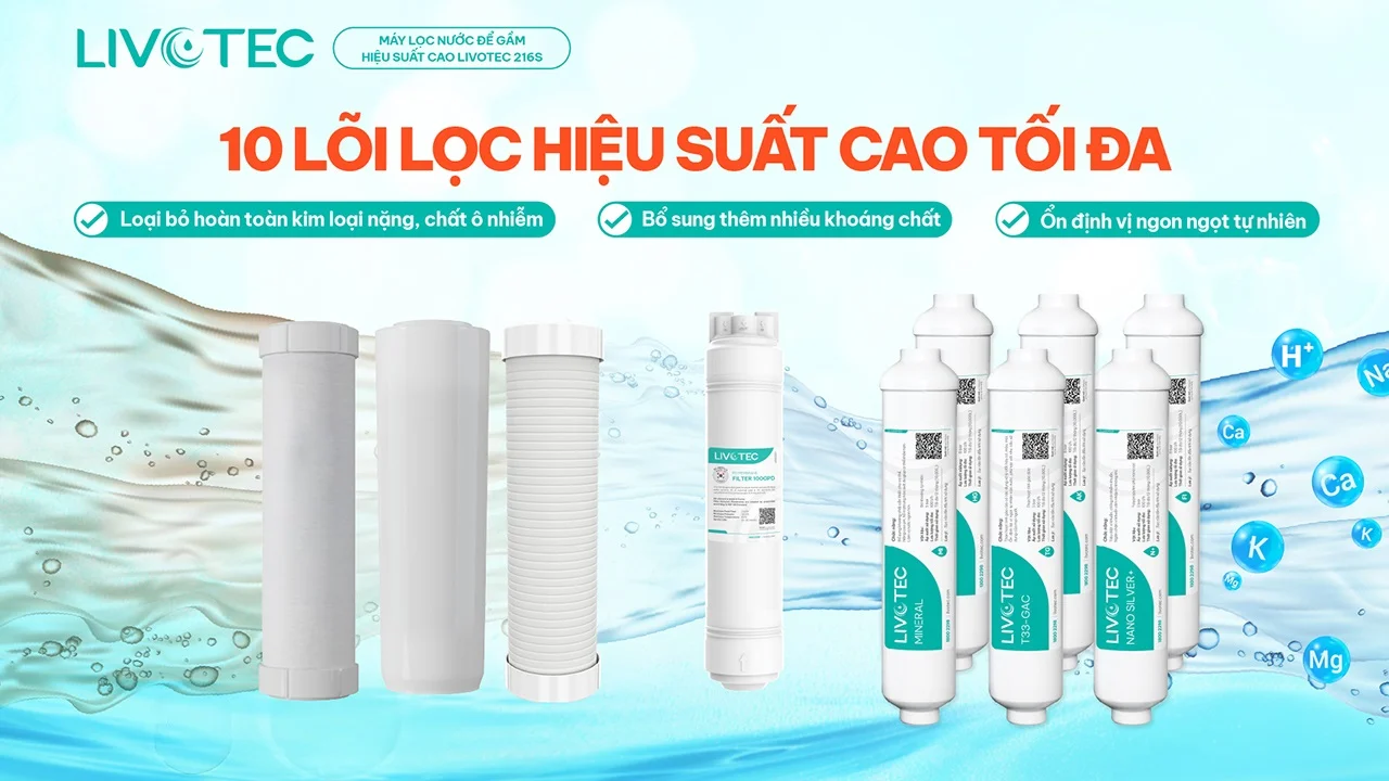 may-loc-nuoc-ro-livotec-216s-10-loi-loc