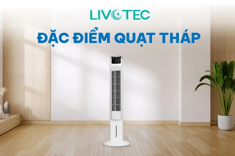 dac-diem-quat-thap