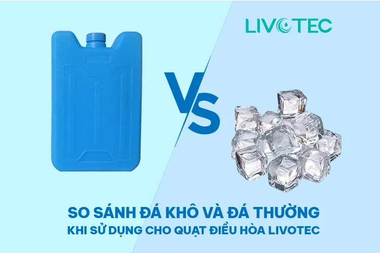 so-sanh-da-kho-va-da-thuong