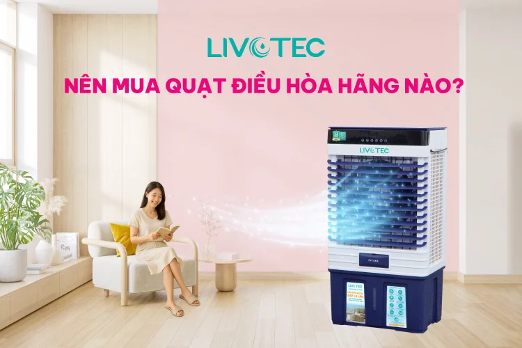 nen-mua-quat-dieu-hoa-hang-nao-1