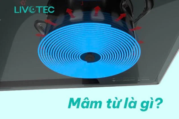 mam-tu-la-gi