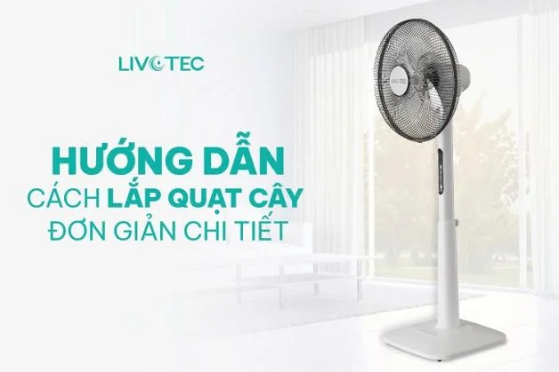 cach-lap-quat-cay