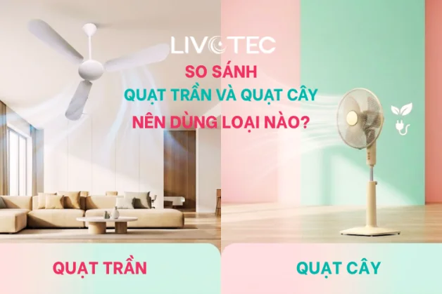 so-sanh-quat-tran-va-quat-cay-new