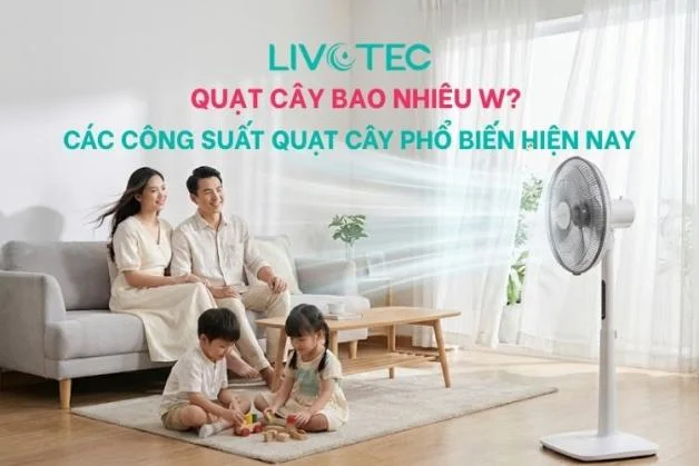 cong-suat-quat-cay