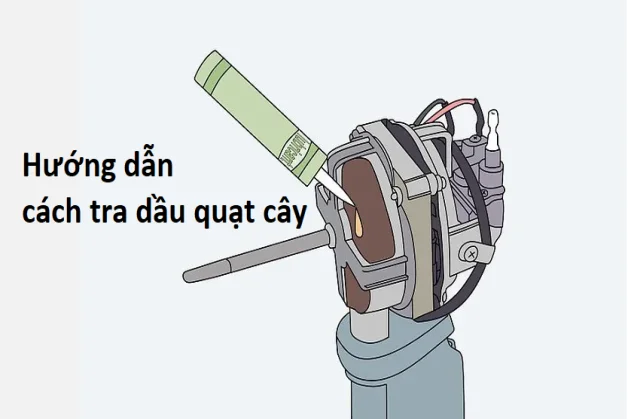 huong-dan-cach-tra-dau-quat-cay
