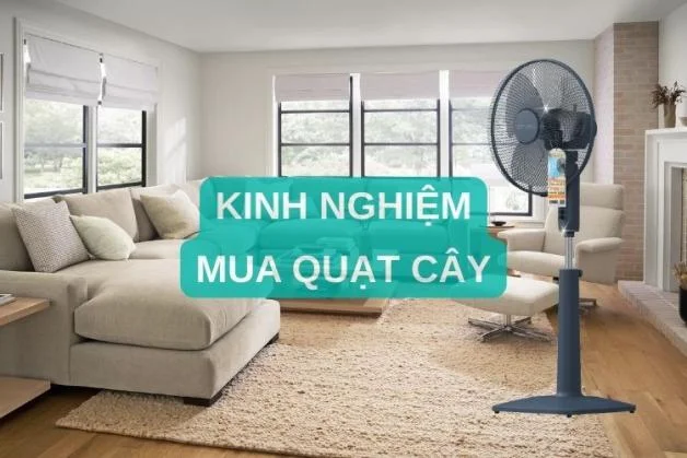 kinh-nghiem-mua-quat-cay
