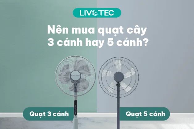 nen-mua-quat-cay-3-canh-hay-5-canh