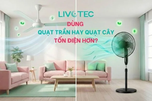 quat-tran-hay-quat-cay-ton-dien-hon