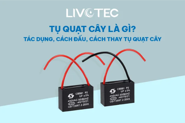 tu-quat-cay-la-gi