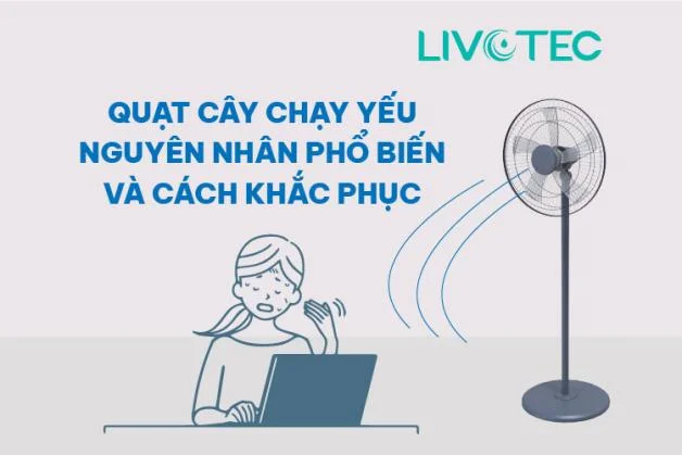 quat-cay-chay-yeu
