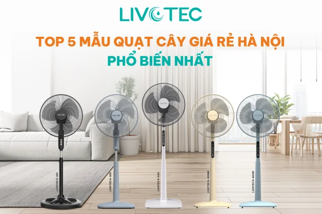 quat-cay-gia-re-ha-noi