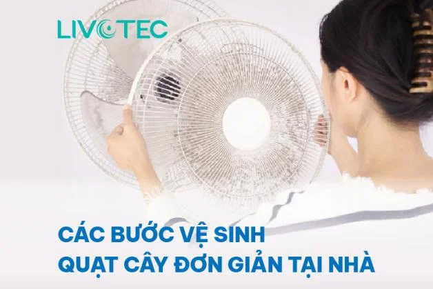 ve-sinh-quat-cay