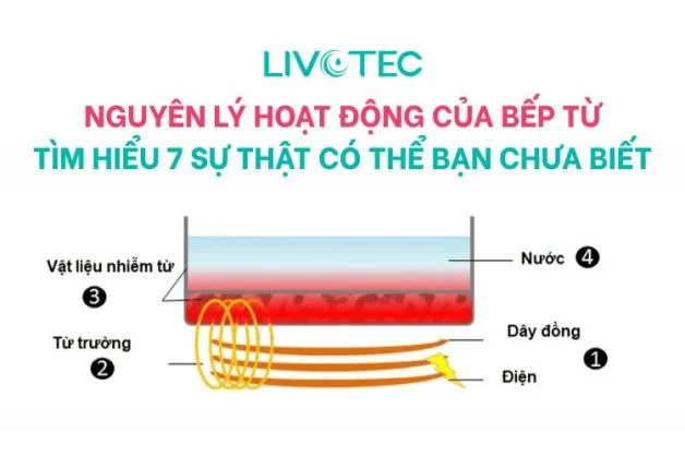 nguyen-ly-hoat-dong-cua-bep-tu-thumnails