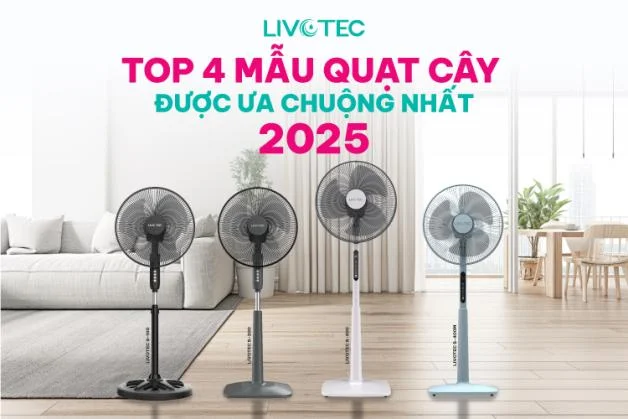 quat-cay-gia-dinh