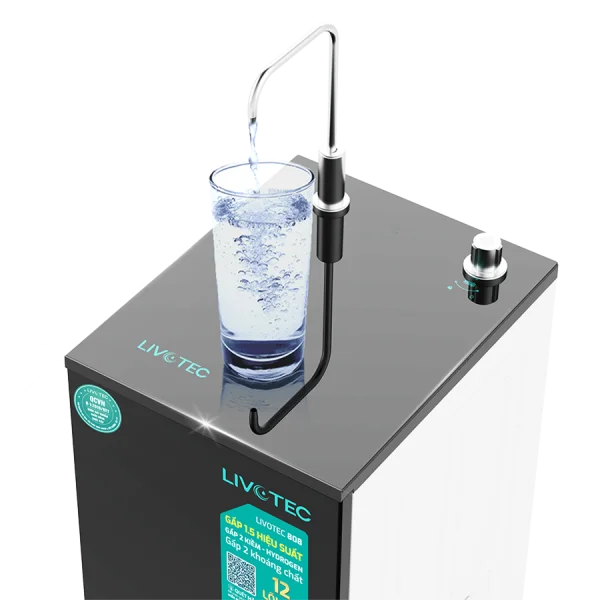 may-loc-nuoc-ro-livotec-808-4