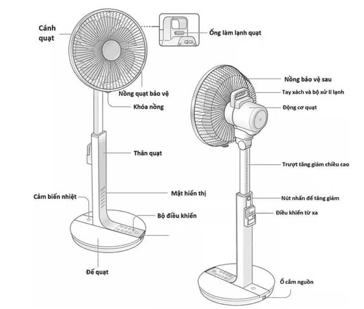Các bộ phận của quạt cây