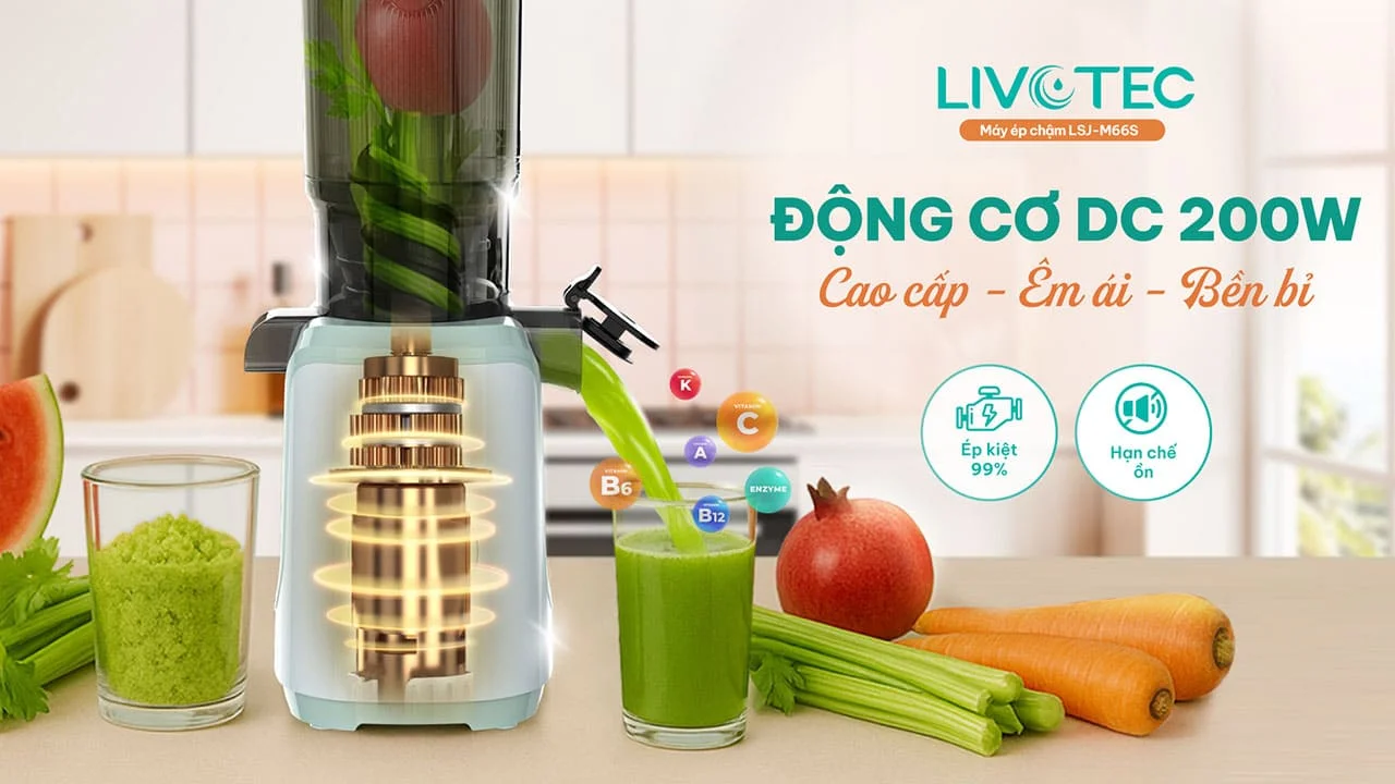 livotec-lsj-m66s-co-dong-co-dc-loi-dong