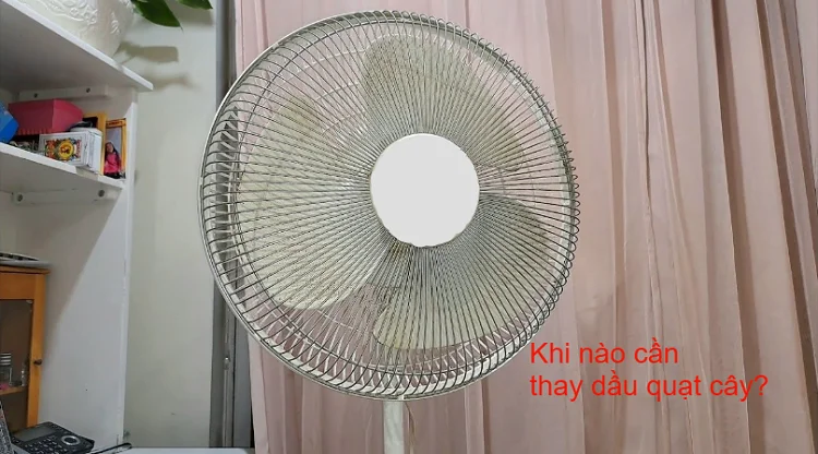 Khi nào cần tra dầu quạt cây?