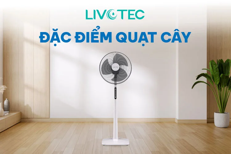 Đặc điểm quạt cây