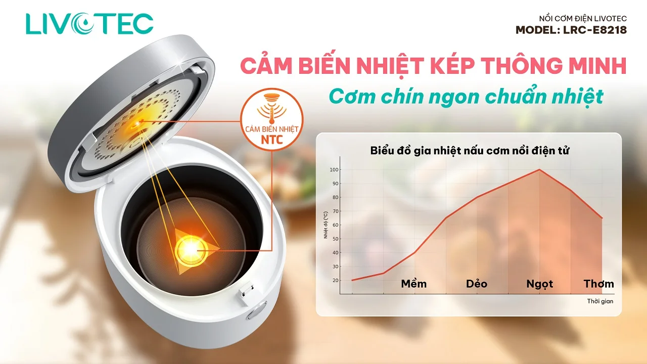 Livotec LRC-E8218 kiểm soát nhiệt kép NTC chuẩn nhiệt